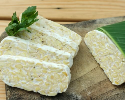 Authentic Indonesian Tempeh Exporter